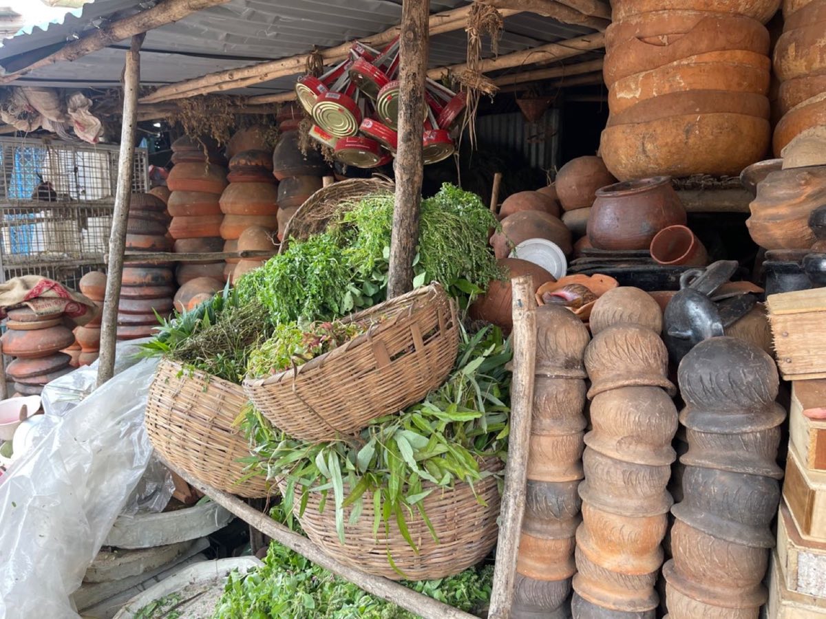 Étal d'herbes médicinales au marché