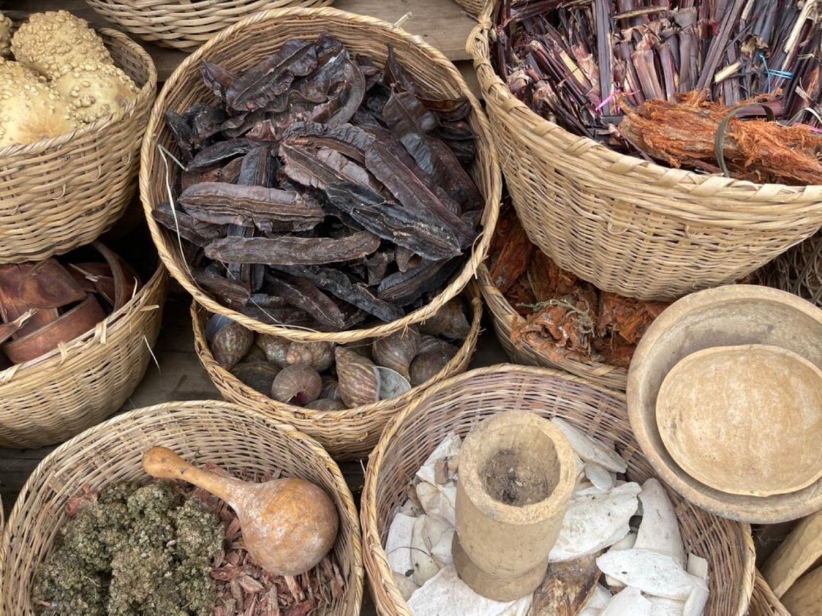 Pharmacopée traditionnelle — paniers d'écorces et de plantes
